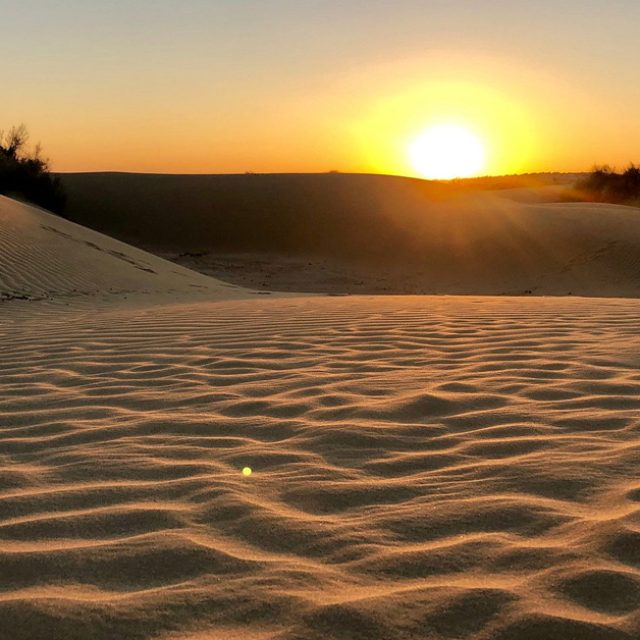 Watching a sunset over the dunes of Jaisalmer.