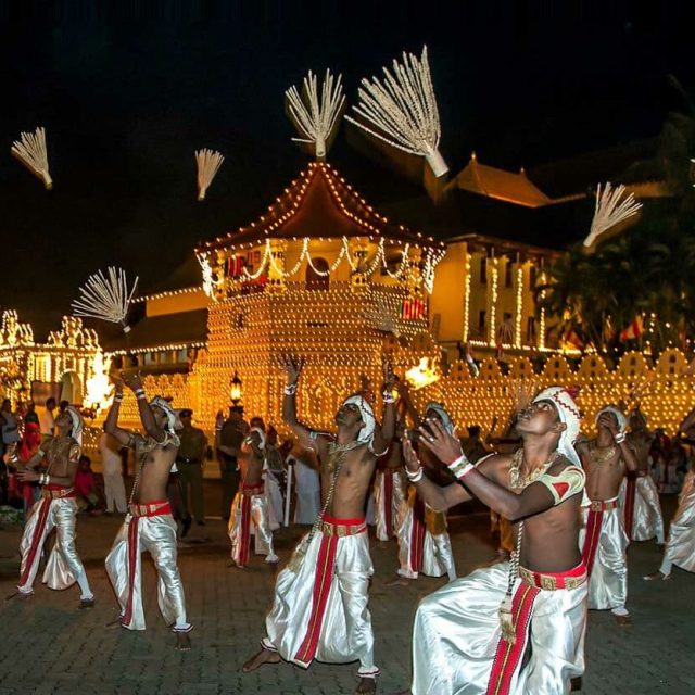 Witnessing cultural festivals like the Kandy Esala Perahera.